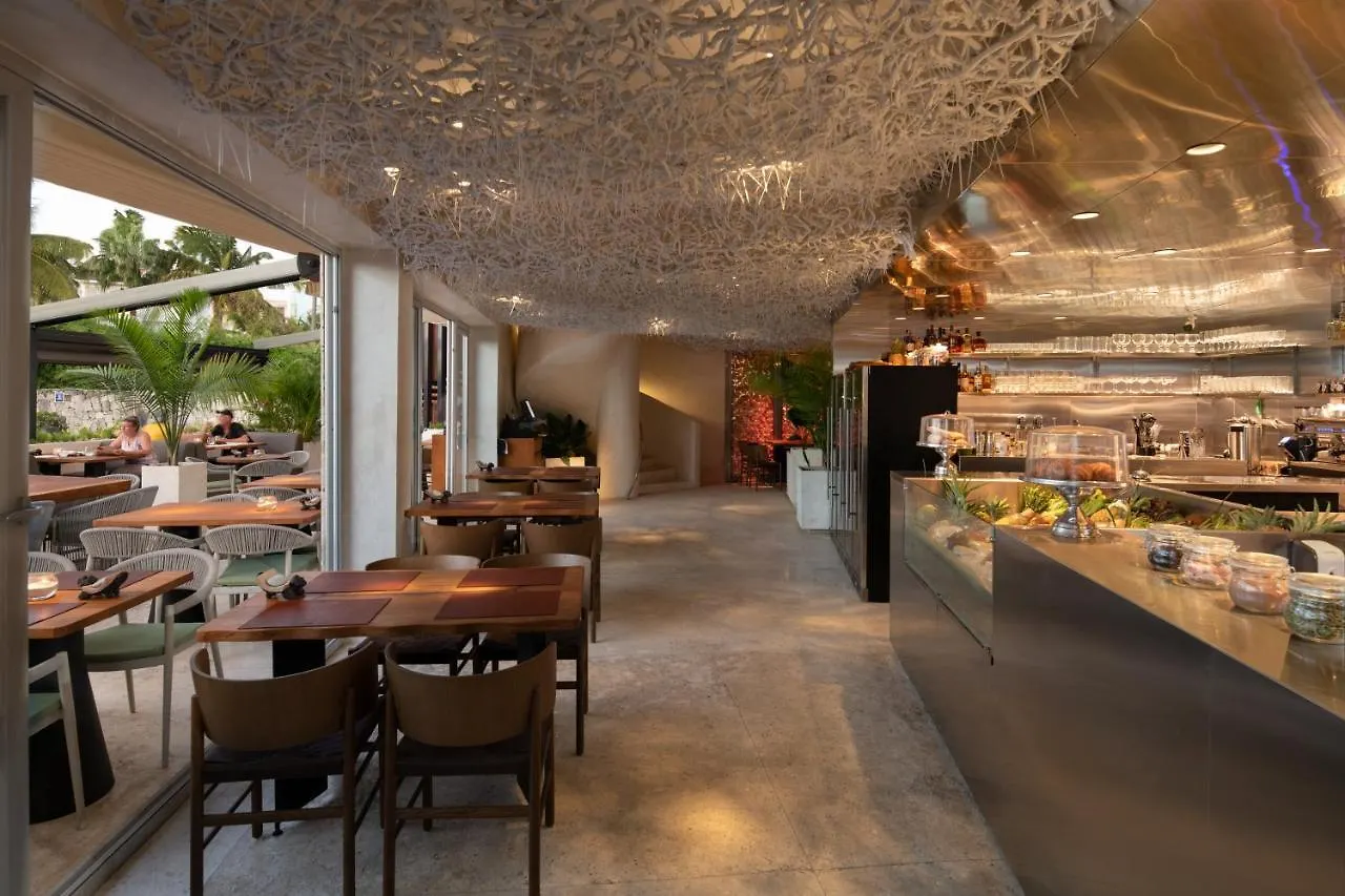 Hotel Ducassi Suites Rooftop Pool - Beach Club And Spa Punta Cana